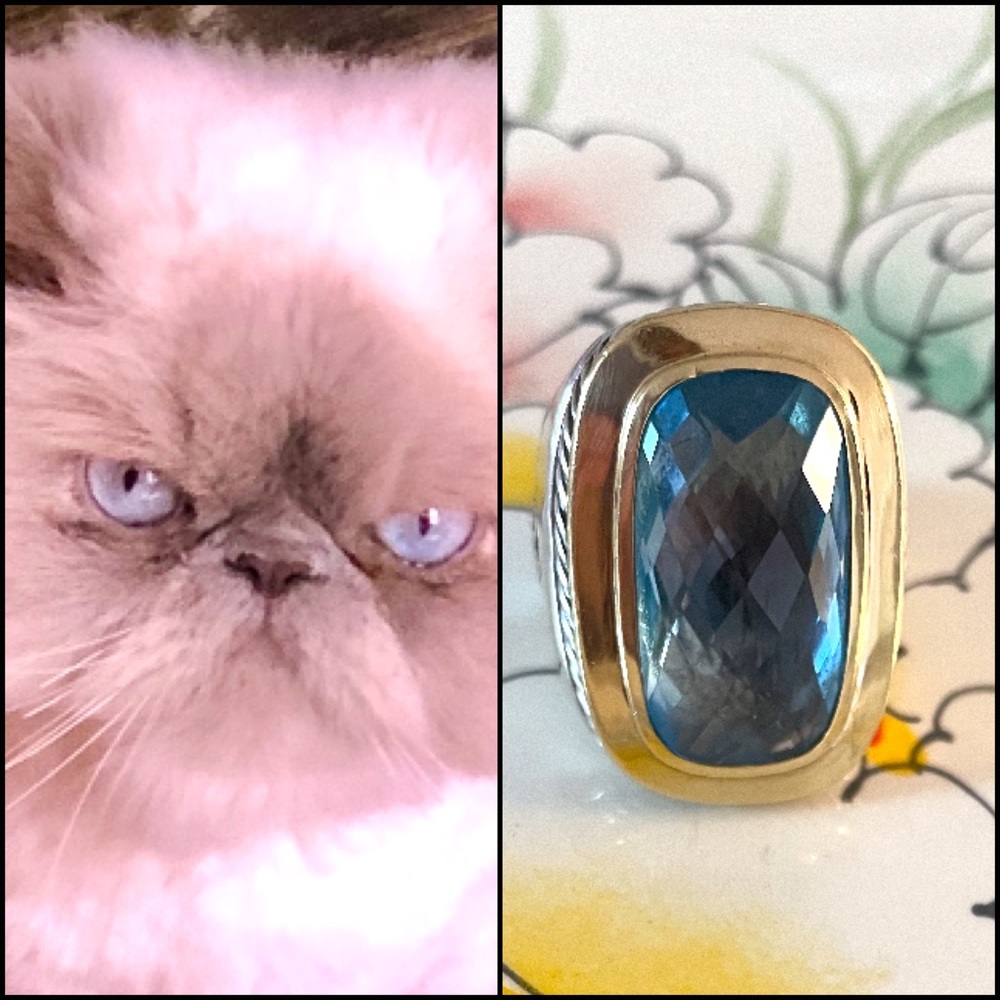 A David Yurman ring as blue as my cat’s eyes!